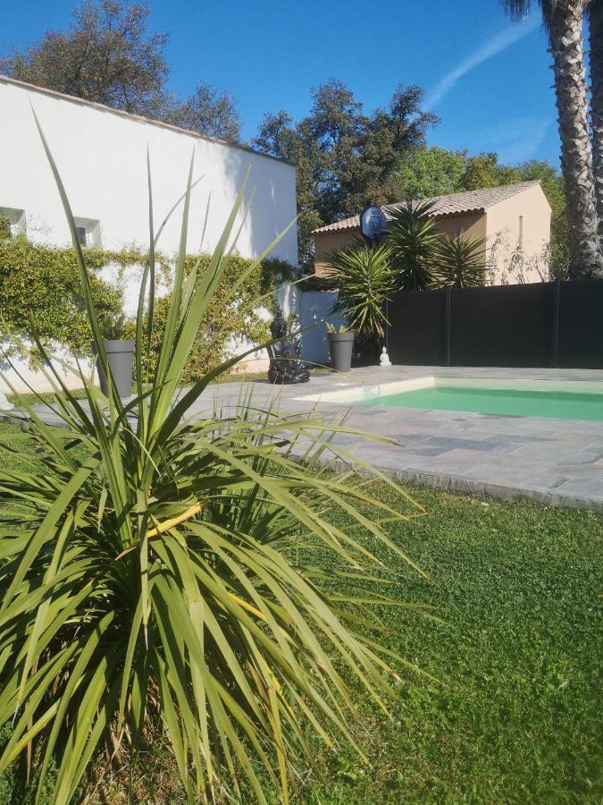 Chambres D'Hotes Le Mas Du Bijou Bleu Puget-sur Argens Exterior foto