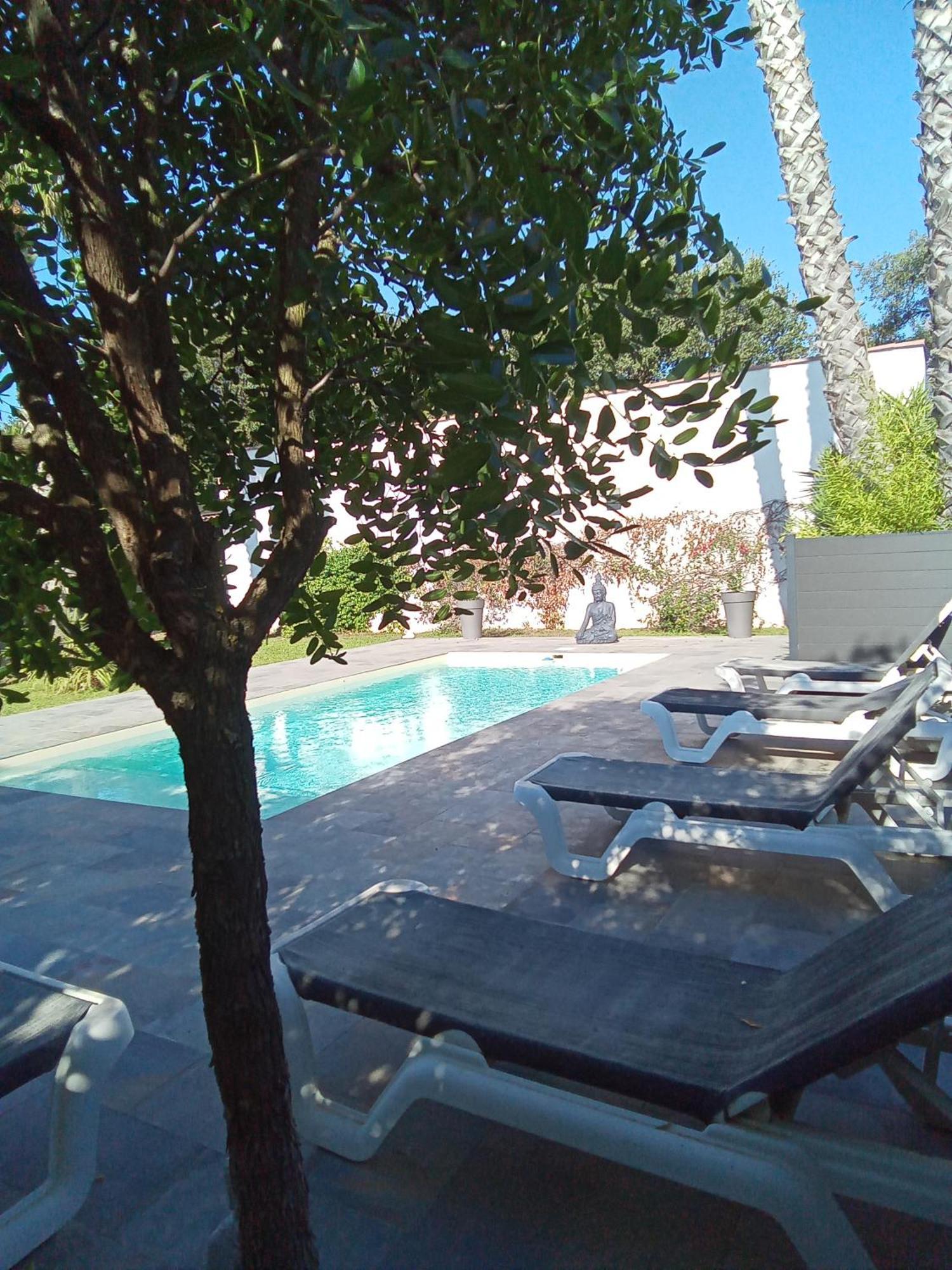 Chambres D'Hotes Le Mas Du Bijou Bleu Puget-sur Argens Exterior foto